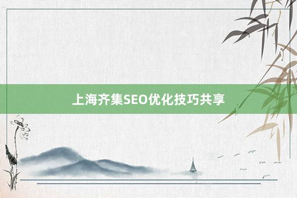 上海齐集SEO优化技巧共享